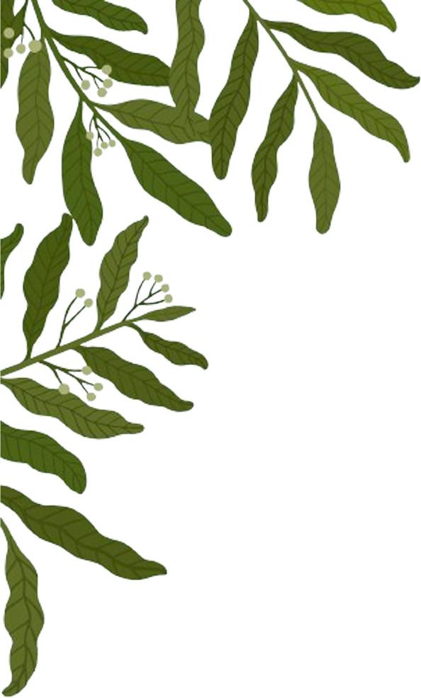 Hotel Jyoti Residency 