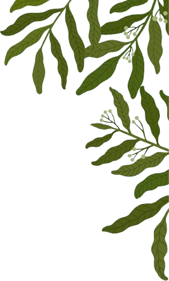 Hotel Jyoti Residency 